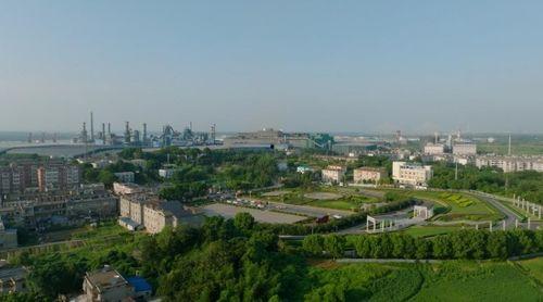 旅顺新港镇新闻头条,聚焦区域发展新篇章，共话港口经济新活力