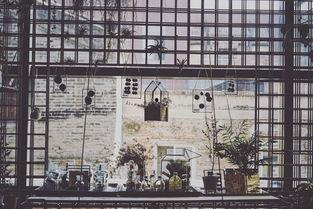 长兴周边网红打卡,探寻这座城市的隐藏魅力