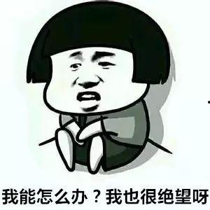 潮汕话网红,方言魅力席卷网络，方言文化传承新风尚