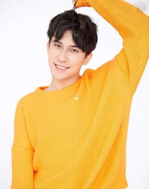 新疆明星男,闪耀舞台的青春力量