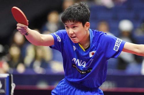 张本智和吃瓜的视频,萌态尽显，网友直呼可爱