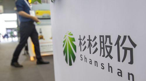 杉杉股份爆料最新消息,揭秘公司重大战略布局与未来发展动向