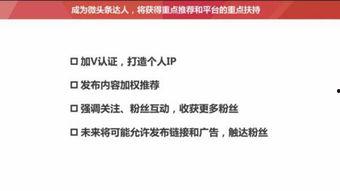 头条粉丝数可以修改吗,头条粉丝数背后的秘密，如何巧妙修改实现突破
