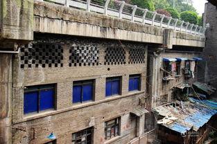 重庆爆料违建最新消息,多区域违建行为被查处，整治行动持续进行